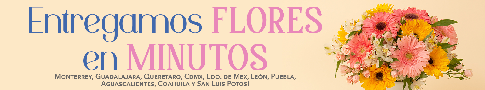 Florería Suspiros - Banner