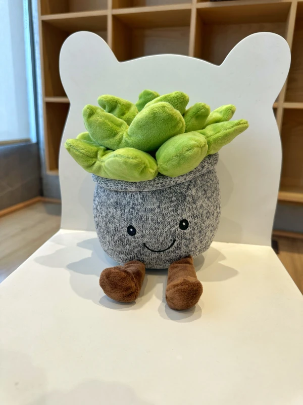 Regalos - Florería Suspiros