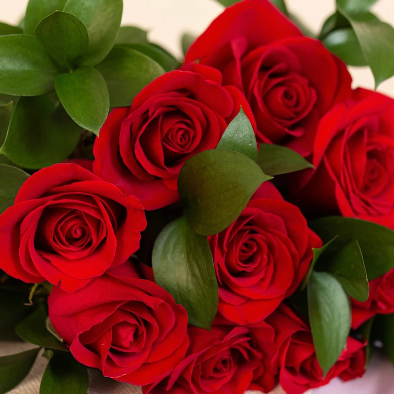 Rosas - Florería Suspiros