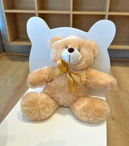 Peluches a domicilio en monterrey - floreria suspiros 1