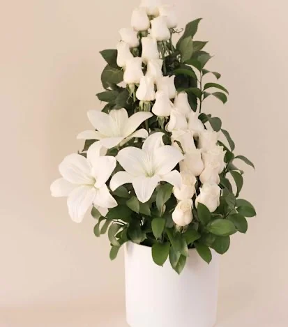 Rosas Blancas - Flores a Domicilio 2