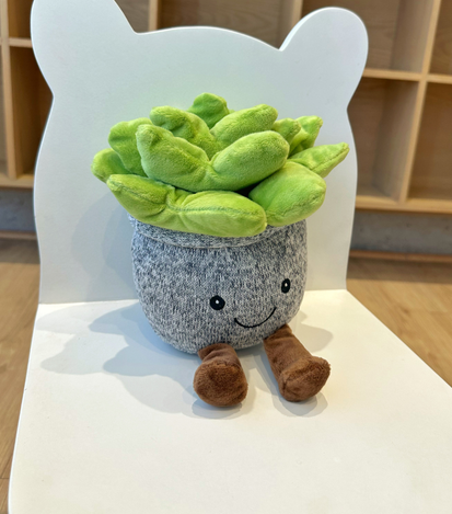 Peluches a domicilio en monterrey - floreria suspiros 1