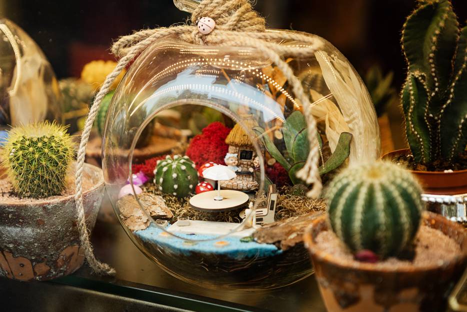 ¿Cómo hacer un terrario de flores en casa?